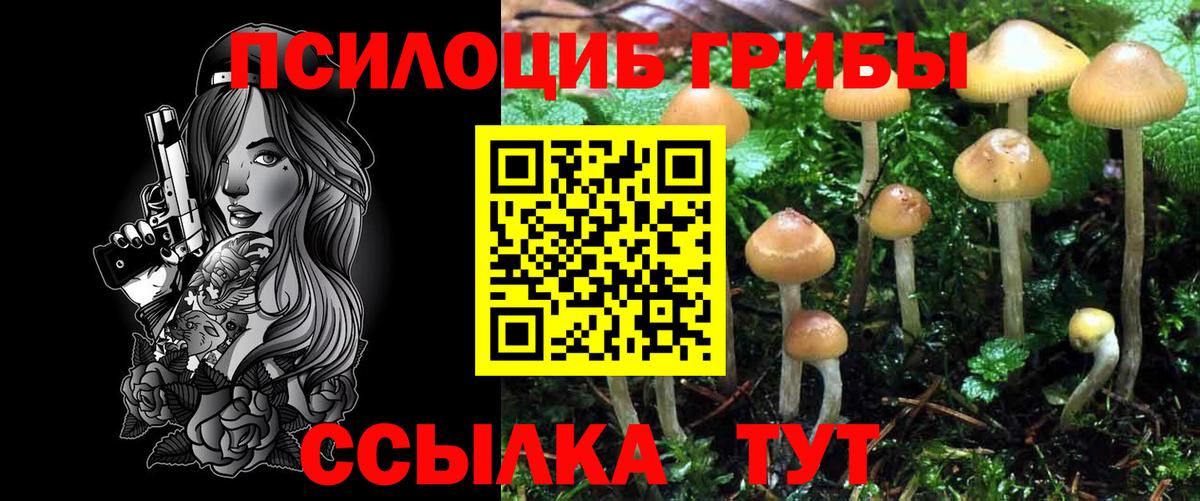 Галлюциногенные грибы прущие грибы Сальск