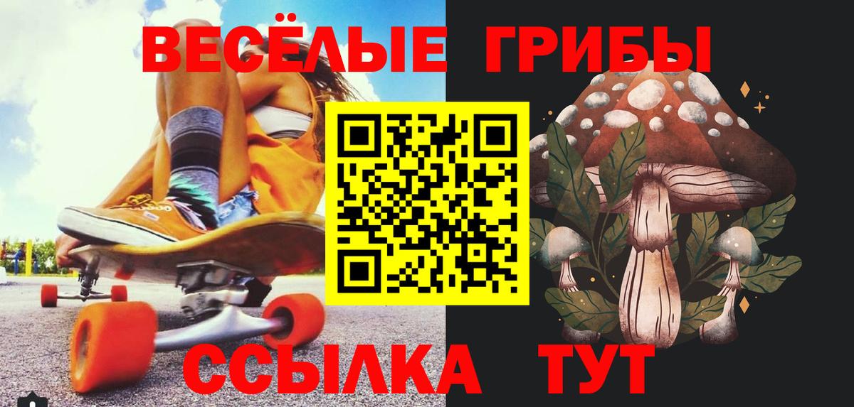 Сальск  Псилоцибиновые грибы Psilocybe  Вход с VPN  Галлюциногенные грибы MAGIC MUSHROOMS 